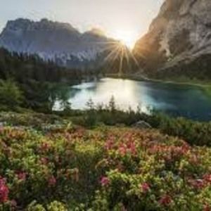 Meet your Posher, Page